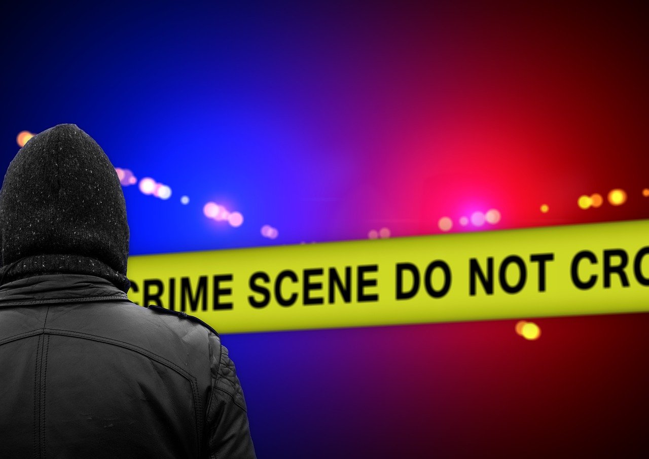 【站群排名监控与数据分析】站群排名监控软件设计,实时跟踪数千站点关键词表现